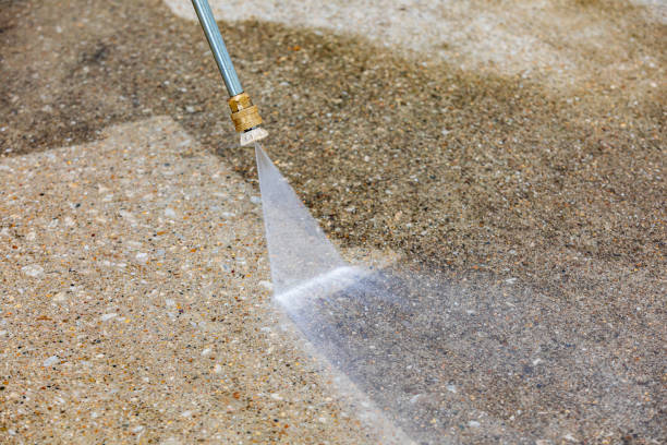 Best Animal Enclosure Cleaning  in Goodhue, MN